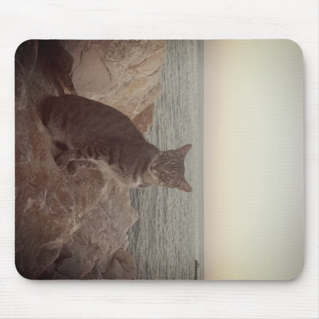A Cat Mode Mouse Mat (Front)