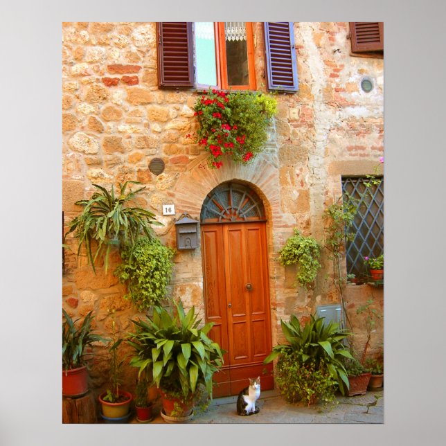 A cat seeks entrance to home in Pienza, Italy. Poster (Front)