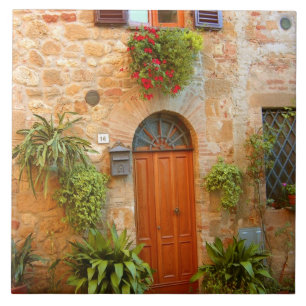 A cat seeks entrance to home in Pienza, Italy. Tile