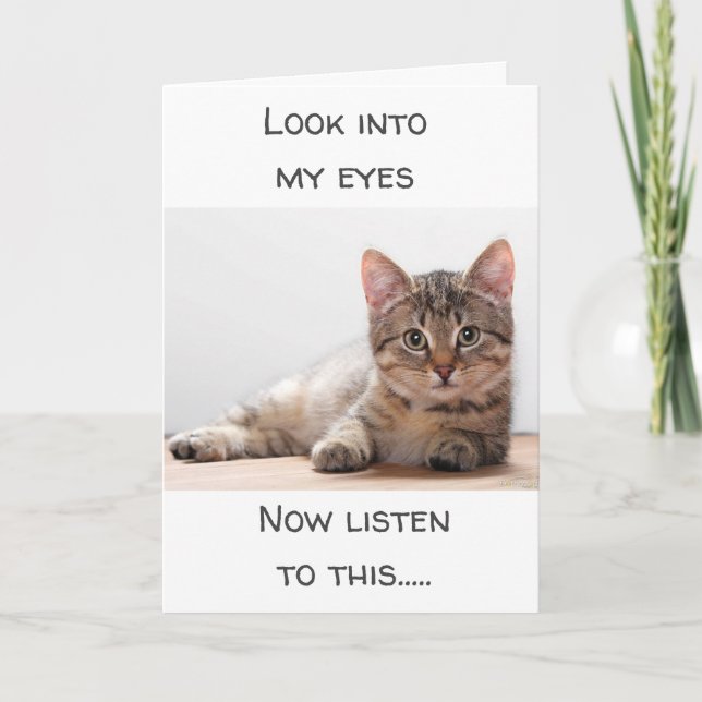 A CAT WHO HAS FEELINGS SAYS "HAPPY BIRTHDAY" CARD (Front)