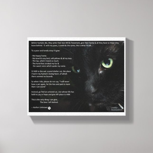 a cats dying wish canvas print (Front)