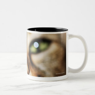 A Cat's Face Two-Tone Coffee Mug