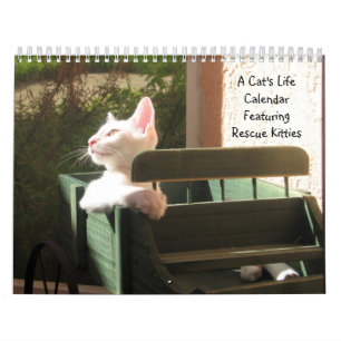 A Cat's Life Calendar - Encore Edition for 2015