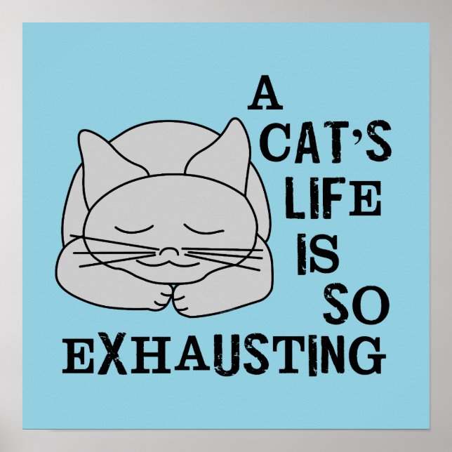 A Cat's Life Poster (Front)