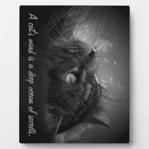 A cat's mind is a deep ocean of secrets plaque