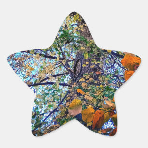 A change in the leaves star sticker