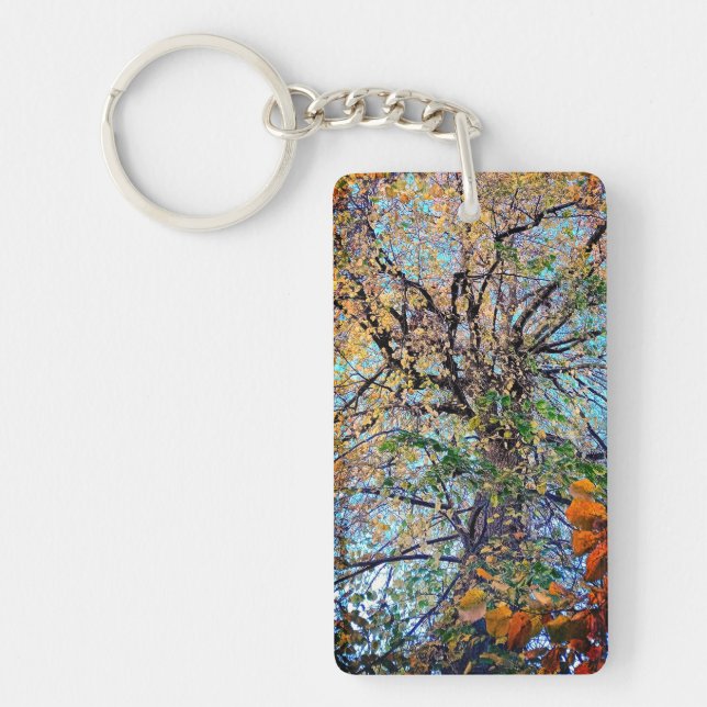 A change to the leaves key ring (Front)