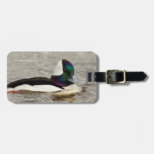 A Charming Bufflehead Duck Swims By Luggage Tag (Front Horizontal)
