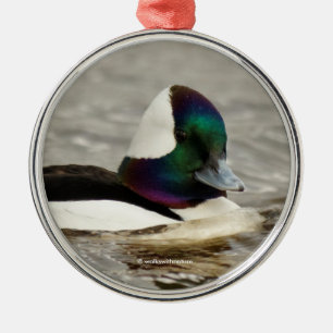 A Charming Bufflehead Duck Swims By Metal Tree Decoration