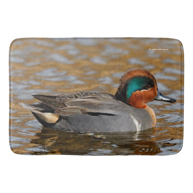 A Chatty Green-Winged Teal Duck at the Pond Bath Mat (Front)