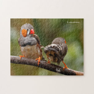 A Cheeky Pair of Zebra Finches Jigsaw Puzzle