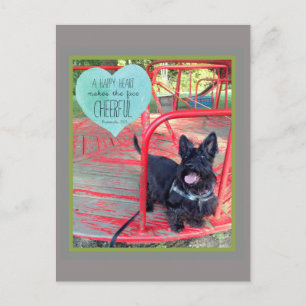 A Cheerful Smile Post Card