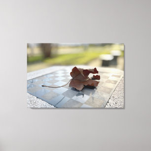 A chess lesson canvas print