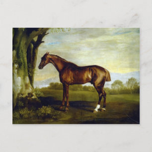 A Chestnut Racehorse by George Stubbs Postcard