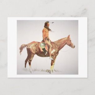 A Cheyenne Brave, 1901 (colour litho) Postcard