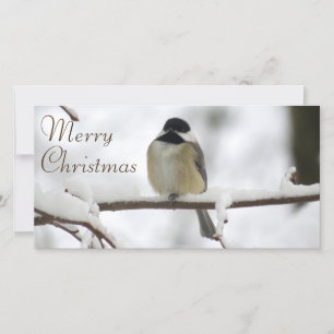 A Chickadee Christmas Holiday Card