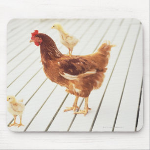 A Chicken and Two Chicks On a Wooden Floor, Mouse Mat