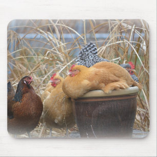 A Chicken Mouse Pad