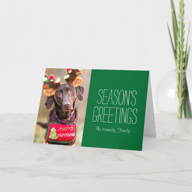 A Chocolate Labrador Retriever dog Holiday Card (Front)