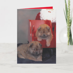 A Chowful Christmas Holiday Card