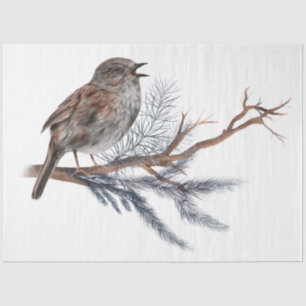 A Christmas Bird Series Design 5 Tissue Paper