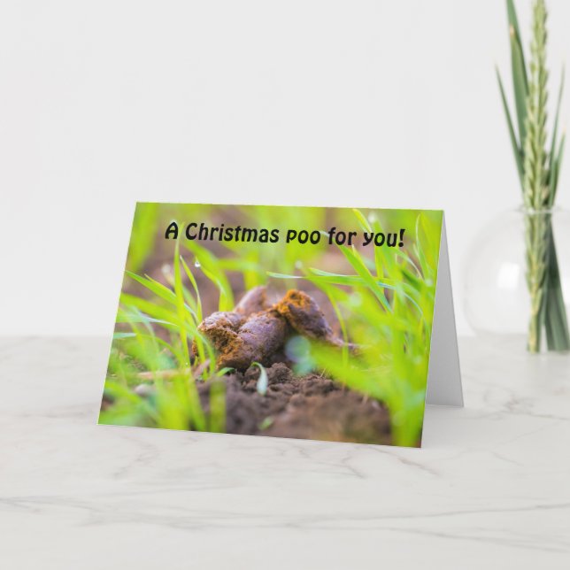 A Christmas Dog Poo for you Holiday Card (Front)