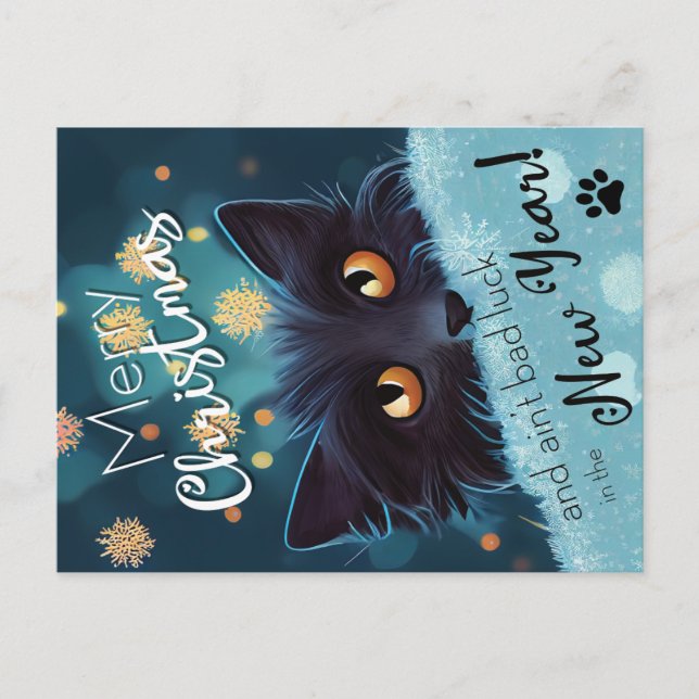 A Christmas fluffy black cat for luck Postcard (Front)