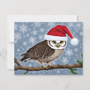A Christmas Owl on a Blue Background Holiday Card