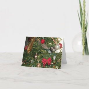 A Christmas Surprise Cards