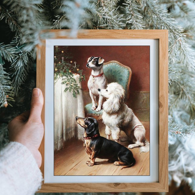 A Christmas Treat Dogs Carl Reichert Poster (Creator Uploaded)