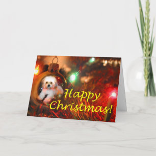 A Christmas Wish Holiday Card