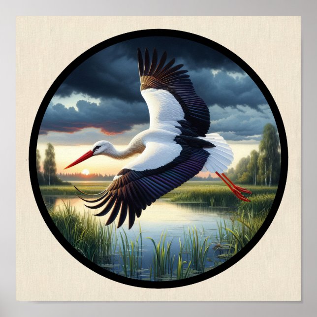 A Circular 3D Image of a Beautiful White Stork Poster (Front)