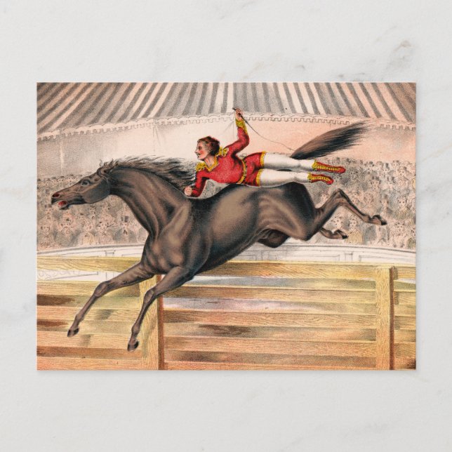 A Circus Performer Riding A Vaulting Horse Postcard (Front)