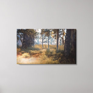 A Clearance in the Woods Canvas Print