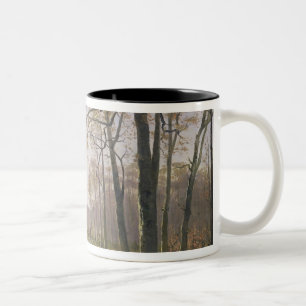A Clearing in an Autumnal Wood, 1890 Two-Tone Coffee Mug