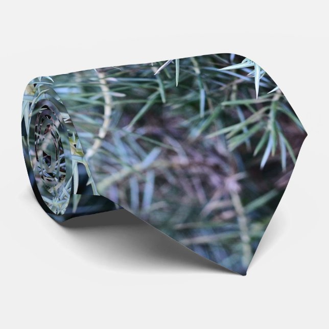 A Close Shot Of Juniper Tie (Rolled)