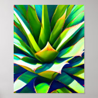 A close up Agave plant