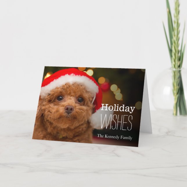 A close up, of a red toy poodle holiday card (Front)