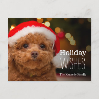 A close up, of a red toy poodle holiday postcard