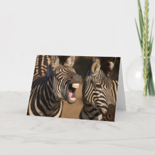A close-up of a Zebra showing its teeth, Card