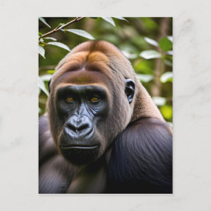 A Close-up Portrait of a Gorilla  Postcard