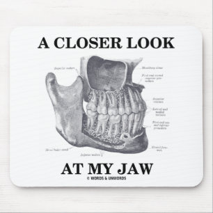 A Closer Look At My Jaw (Anatomical Bones) Mouse Mat
