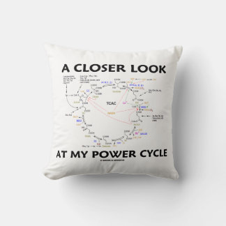 A Closer Look At My Power Cycle Krebs Cycle Cushion