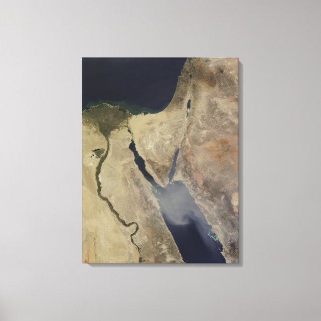 A cloud of tan dust from Saudi Arabia Canvas Print (Front)