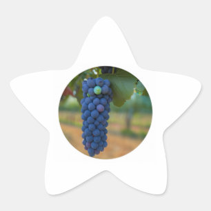 A Cluster of Fresh Purple Grapes Star Sticker
