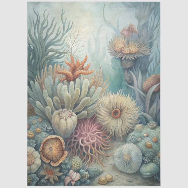 A Coastal Series Design 43 Tissue Paper (Front)