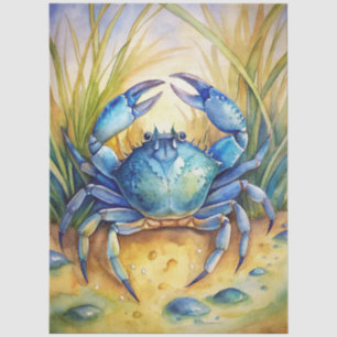 A Coastal Series Design 72 Tissue Paper