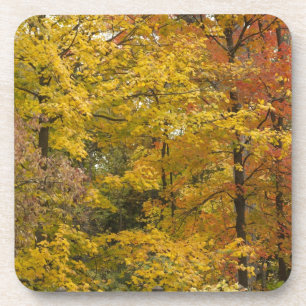 a coaster