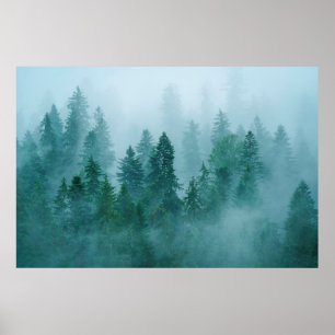 A cold morning in the Ceahlau National Park, Roman Poster