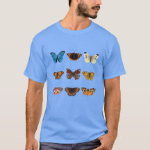 A collection of nine butterflies